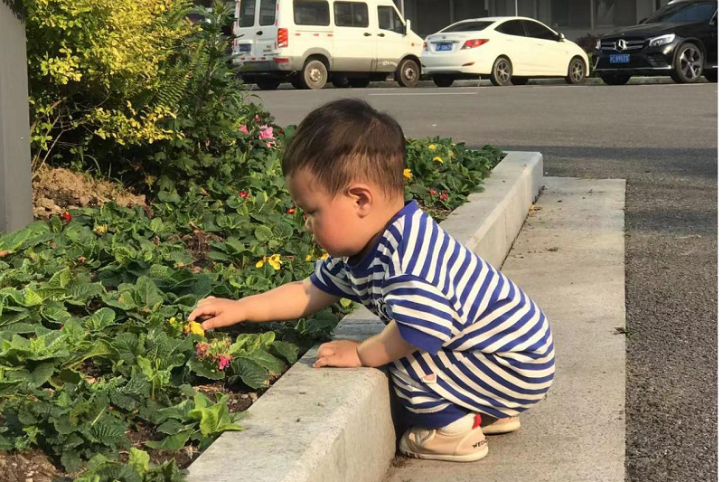 一个上海物业人的防疫自述(图10)